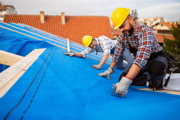 Best Gutter Installation and Roofing  in Arcanum, OH