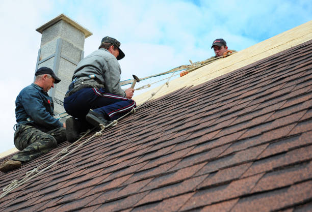 Best Storm Damage Roof Repair  in Arcanum, OH